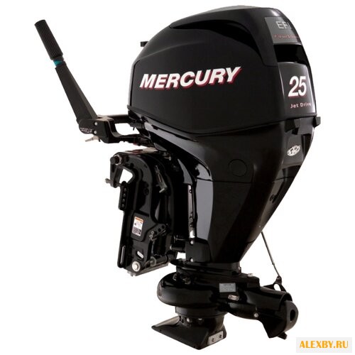 Лодочный мотор Mercury ME F 25