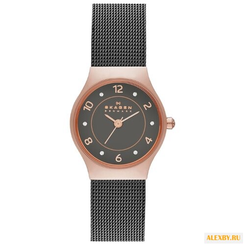 Наручные часы SKAGEN SKW2270