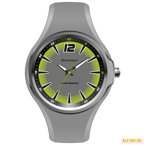 Наручные часы Steinmeyer S