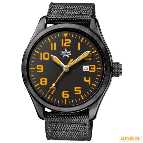 Наручные часы СПЕЦНАЗ С2864322-09