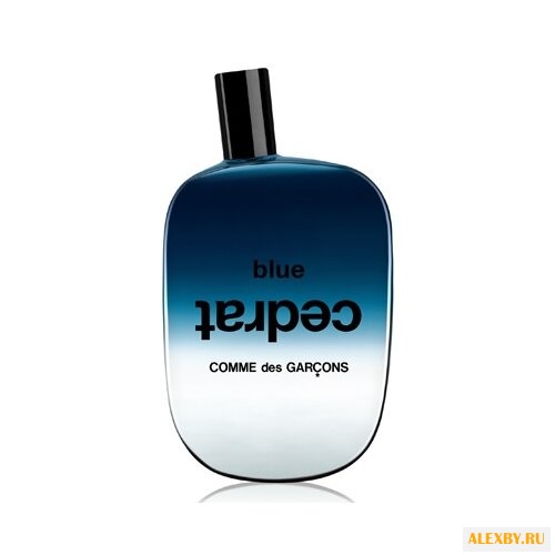 Comme Des Garcons Blue Cedrat
