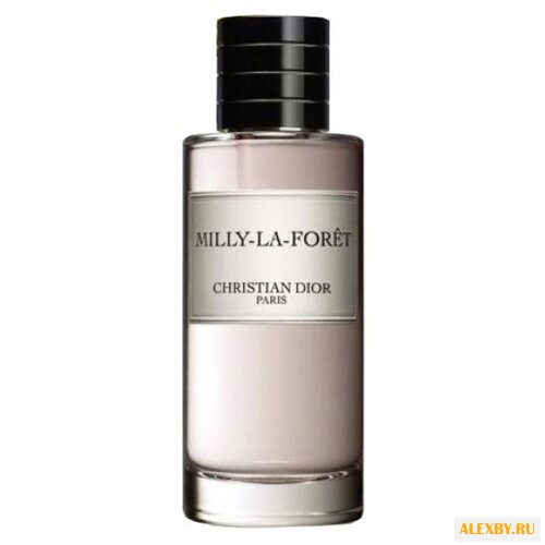 Christian Dior Milly-la-Foret