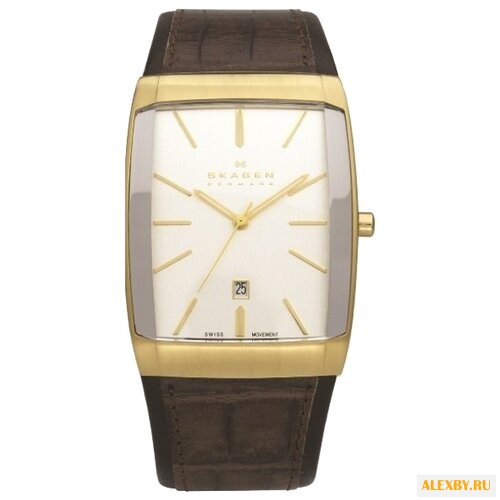 Наручные часы SKAGEN 984LGLD