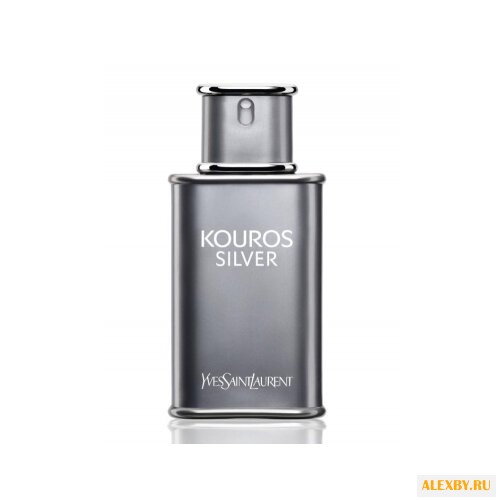 Yves Saint Laurent Kouros Silver