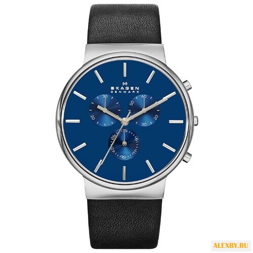 Наручные часы SKAGEN SKW6105