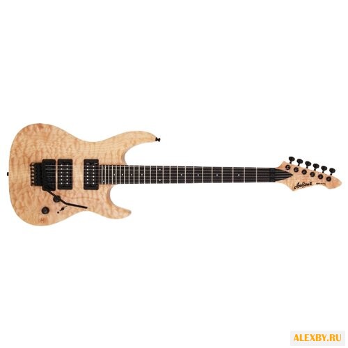 Электрогитара ARIA EGPN-SP