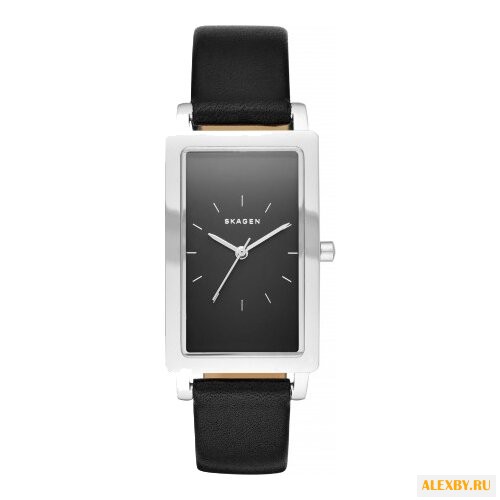 Наручные часы SKAGEN SKW2462
