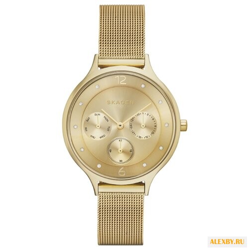 Наручные часы SKAGEN SKW2313