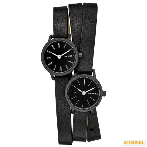 Наручные часы SKAGEN SKW2364