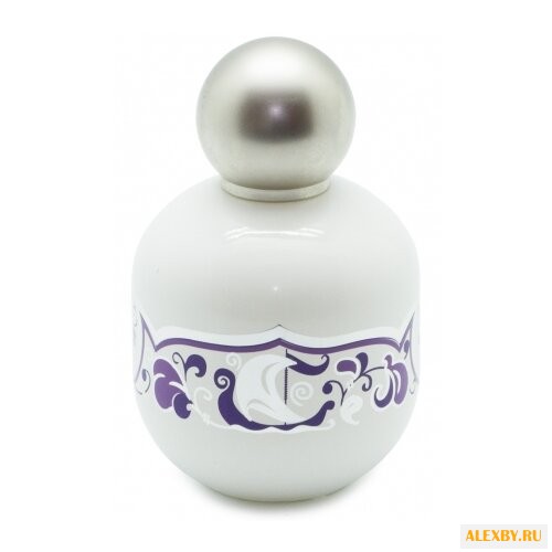 The Vagabond Prince Swan Princess