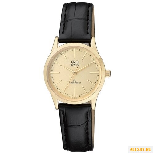 Наручные часы Q&Q C213-100