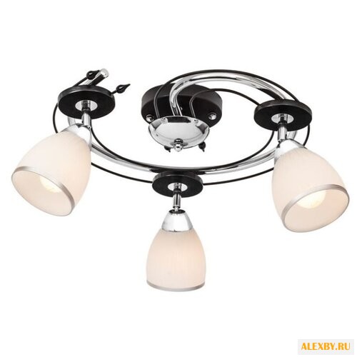 Silver Light Austerity 223.59.3