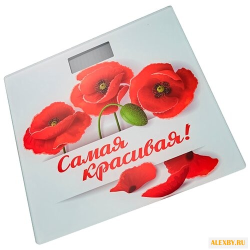 Весы Василиса ВА-4005