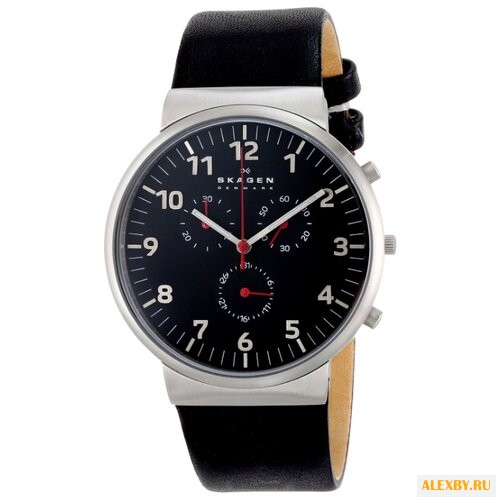 Наручные часы SKAGEN SKW6100