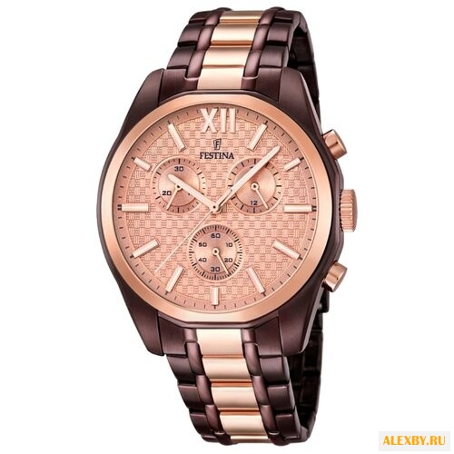 Наручные часы FESTINA F16858 1