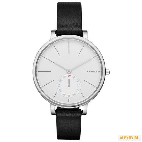 Наручные часы SKAGEN SKW2435