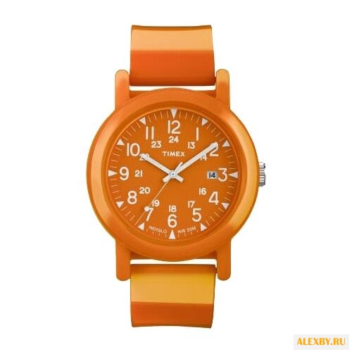 Наручные часы TIMEX T2N879