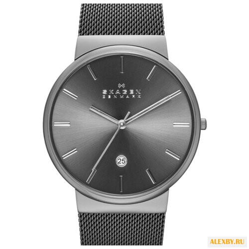 Наручные часы SKAGEN SKW6108