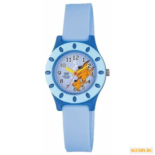 Наручные часы Q&Q VQ13 J005