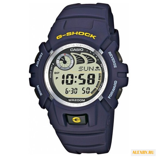 Наручные часы CASIO G-2900F-2V