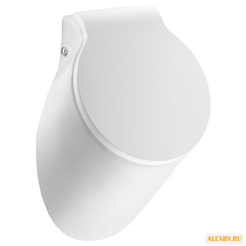 Писсуар Roca Spun 353148000