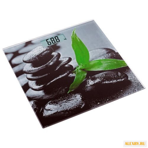 Весы Ладомир НА101