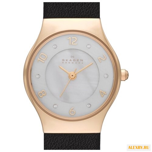 Наручные часы SKAGEN SKW2209