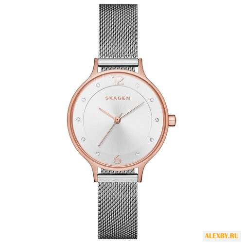 Наручные часы SKAGEN SKW1069