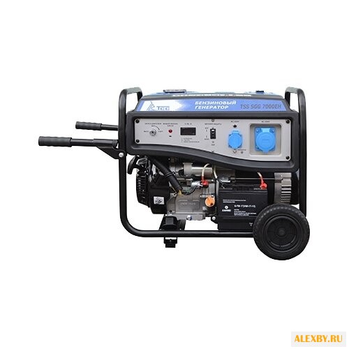 Бензиновая электростанция ТСС