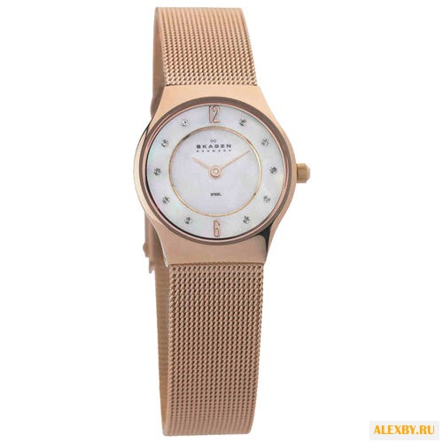 Наручные часы SKAGEN 233XSRR
