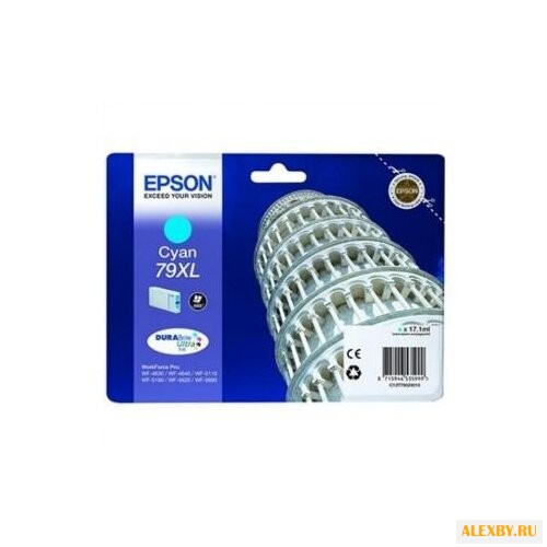 Картридж Epson C13T79024010