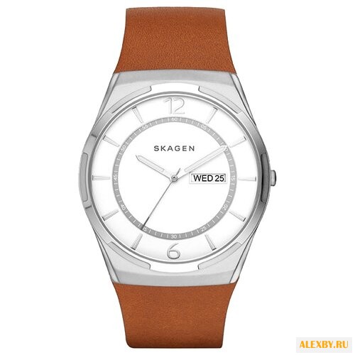 Наручные часы SKAGEN SKW6304