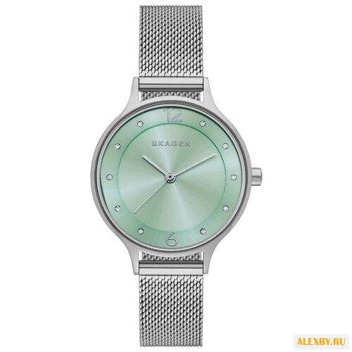 Наручные часы SKAGEN SKW2324