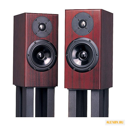 Акустическая система Totem