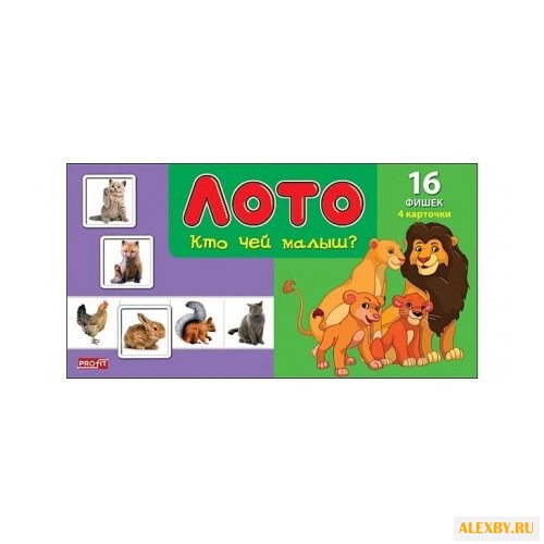 Настольная игра Рыжий кот Кто