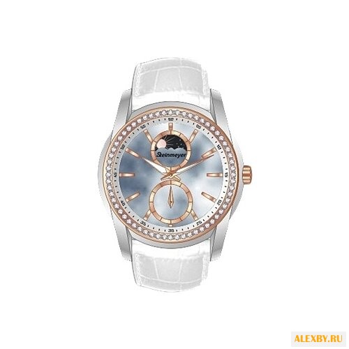 Наручные часы Steinmeyer S