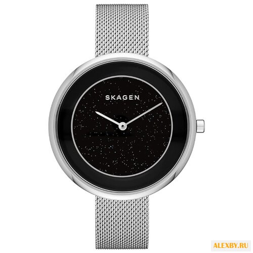 Наручные часы SKAGEN SKW1070