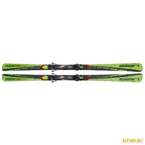 Горные лыжи Elan Gsx Master