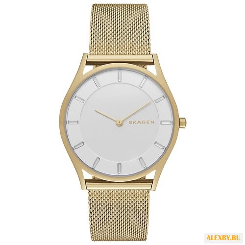 Наручные часы SKAGEN SKW2377