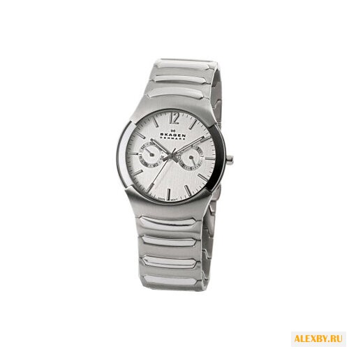 Наручные часы SKAGEN 583XLSXC