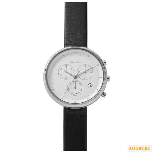 Наручные часы SKAGEN SKW2427