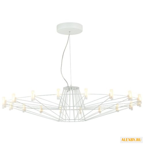 Favourite FV 1637-18P