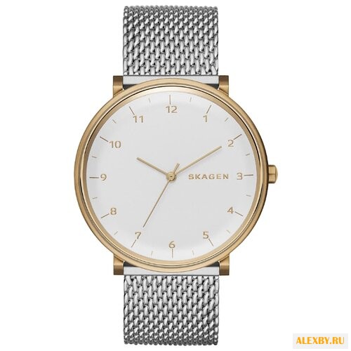 Наручные часы SKAGEN SKW6170