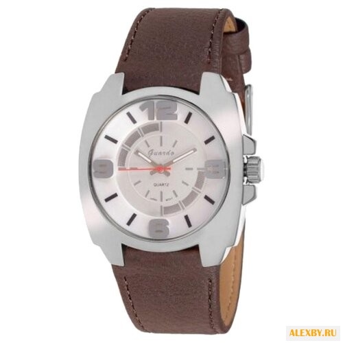 Наручные часы Guardo 9109.1 сталь