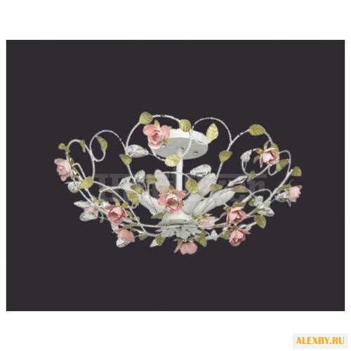 MW-Light MW 421013406