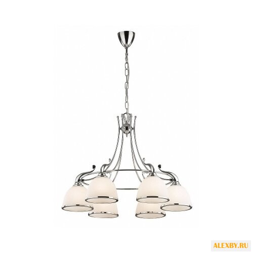 BRIZZI MA02401CA 006