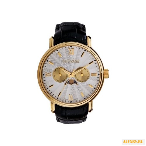 Наручные часы Sauvage SV89314G