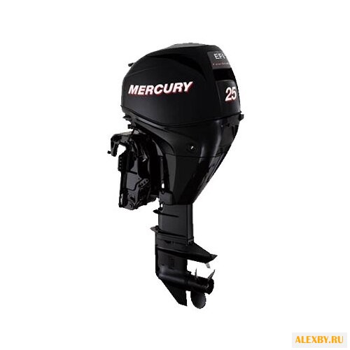 Лодочный мотор Mercury ME F 25