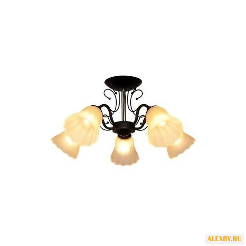 IDLamp 872 872 5PF-Argentoscuro