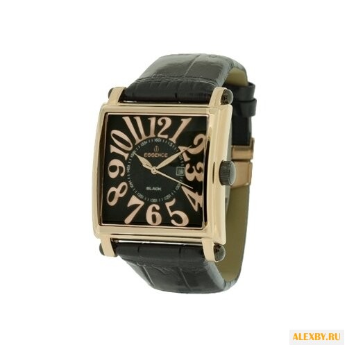 Наручные часы ESSENCE